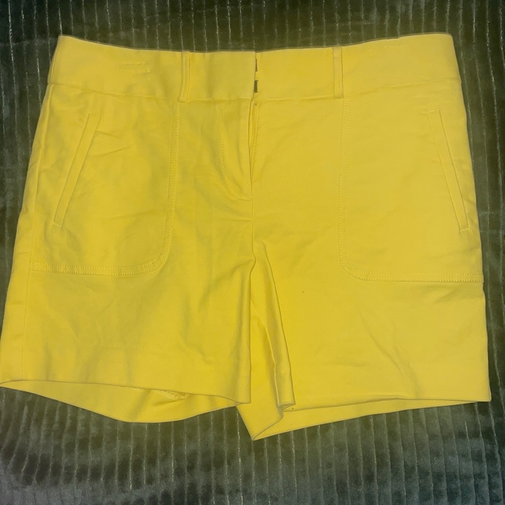 Anne Taylor Loft Shorts